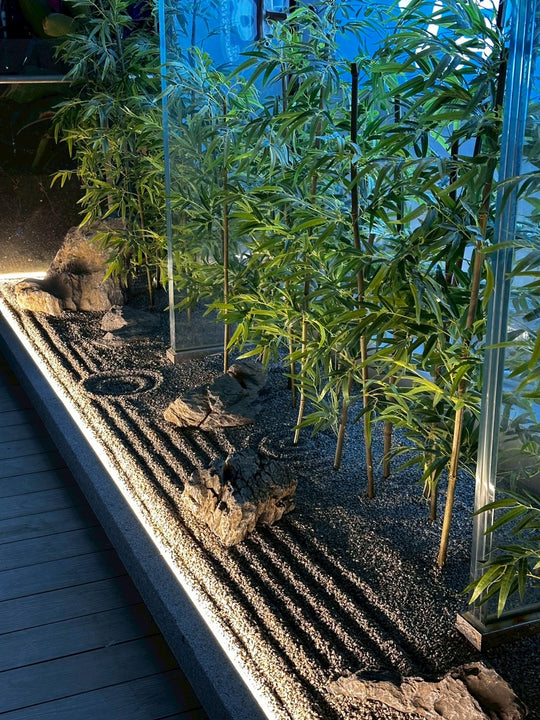 Abstract Garden of Bamboo and Light